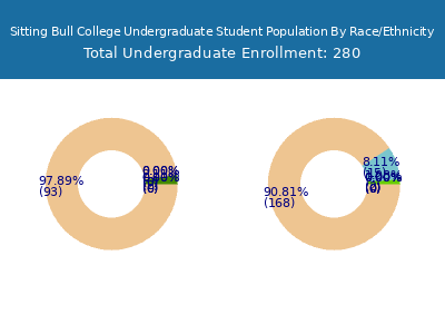 Sitting Bull College 2025 Undergraduate Enrollment by Gender and Race chart