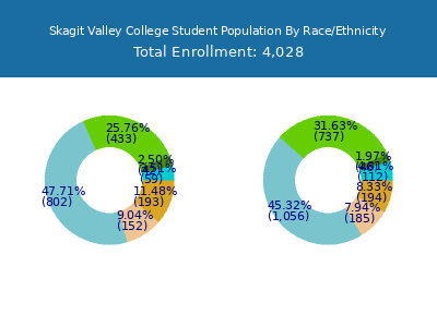 Skagit Valley College 2025 Student Population by Gender and Race chart