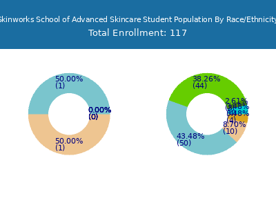 Skinworks School of Advanced Skincare 2025 Student Population by Gender and Race chart