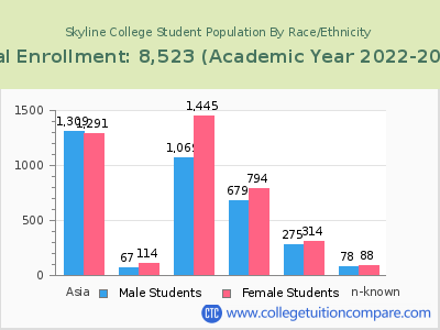 Skyline College 2023 Student Population by Gender and Race chart