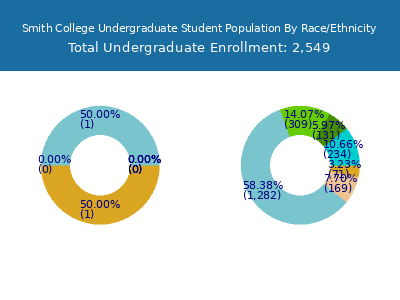 Smith College 2025 Undergraduate Enrollment by Gender and Race chart