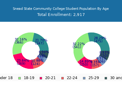 Snead State Community College 2025 Student Population Age Diversity Pie chart