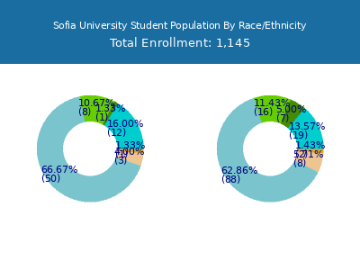 Sofia University 2025 Student Population by Gender and Race chart