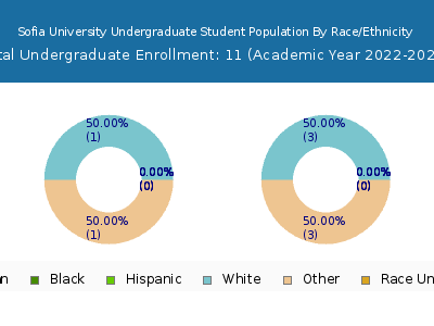 Sofia University 2023 Undergraduate Enrollment by Gender and Race chart