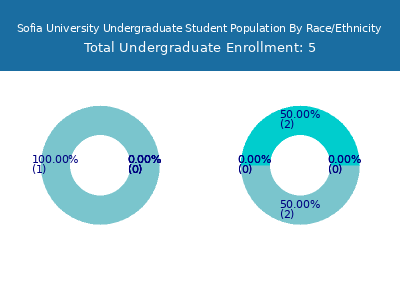 Sofia University 2025 Undergraduate Enrollment by Gender and Race chart