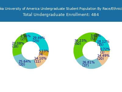 Soka University of America 2025 Undergraduate Enrollment by Gender and Race chart