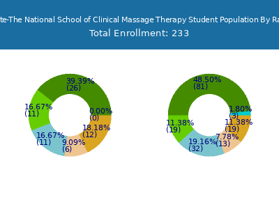 Soma Institute-The National School of Clinical Massage Therapy 2025 Student Population by Gender and Race chart