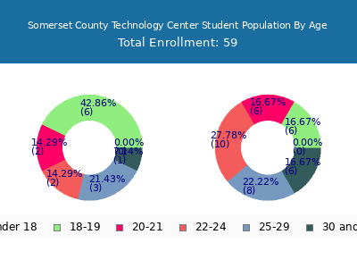 Somerset County Technology Center 2024 Student Population Age Diversity Pie chart