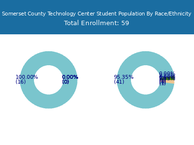Somerset County Technology Center 2025 Student Population by Gender and Race chart