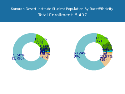 Sonoran Desert Institute 2025 Student Population by Gender and Race chart