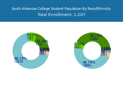 South Arkansas College 2025 Student Population by Gender and Race chart