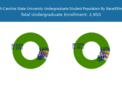 South Carolina State University 2025 Undergraduate Enrollment by Gender and Race chart