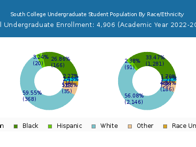 South College 2023 Undergraduate Enrollment by Gender and Race chart