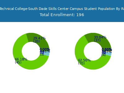 South Dade Technical College-South Dade Skills Center Campus 2025 Student Population by Gender and Race chart