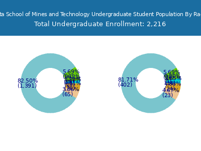 South Dakota School of Mines and Technology 2025 Undergraduate Enrollment by Gender and Race chart