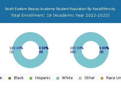 South Eastern Beauty Academy 2023 Student Population by Gender and Race chart
