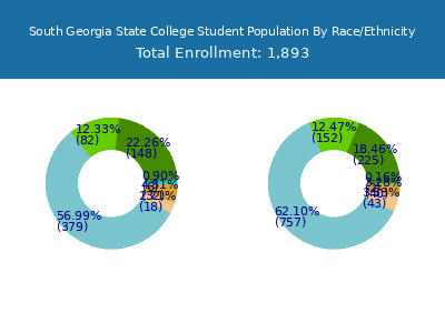 South Georgia State College 2025 Student Population by Gender and Race chart