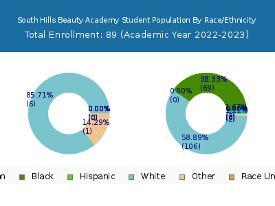 South Hills Beauty Academy 2023 Student Population by Gender and Race chart