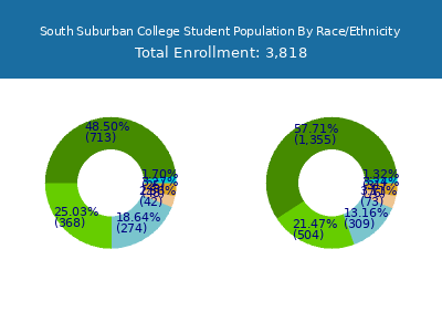 South Suburban College 2025 Student Population by Gender and Race chart