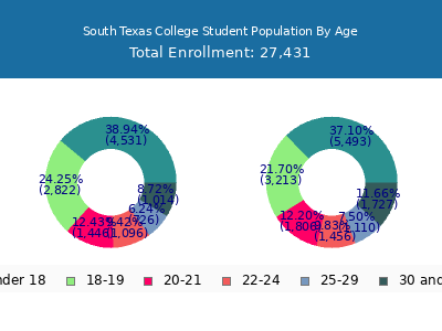 South Texas College 2024 Student Population Age Diversity Pie chart