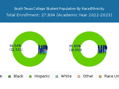 South Texas College 2023 Student Population by Gender and Race chart