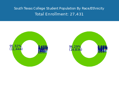 South Texas College 2025 Student Population by Gender and Race chart