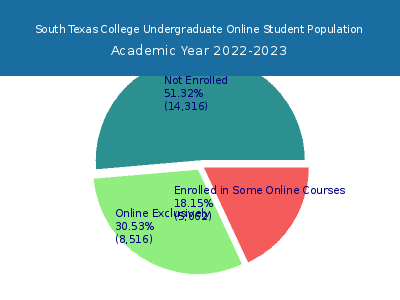 South Texas College 2023 Online Student Population chart