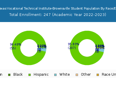 South Texas Vocational Technical Institute-Brownsville 2023 Student Population by Gender and Race chart