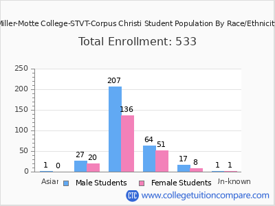 Miller-Motte College-STVT-Corpus Christi 2025 Student Population by Gender and Race chart