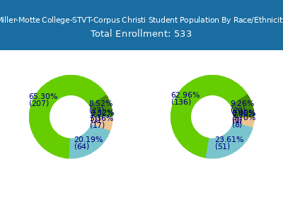 Miller-Motte College-STVT-Corpus Christi 2025 Student Population by Gender and Race chart