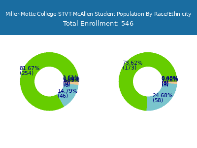 Miller-Motte College-STVT-McAllen 2025 Student Population by Gender and Race chart