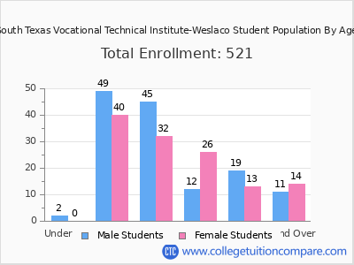 South Texas Vocational Technical Institute-Weslaco 2024 Student Population by Age chart