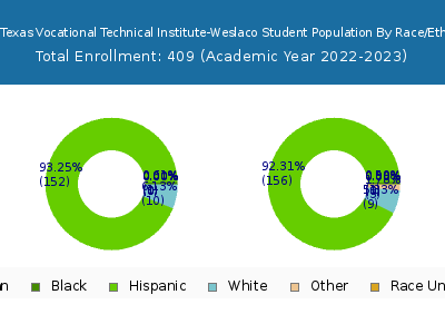 South Texas Vocational Technical Institute-Weslaco 2023 Student Population by Gender and Race chart