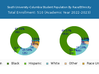 South University-Columbia 2023 Student Population by Gender and Race chart