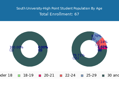 South University-High Point 2024 Student Population Age Diversity Pie chart