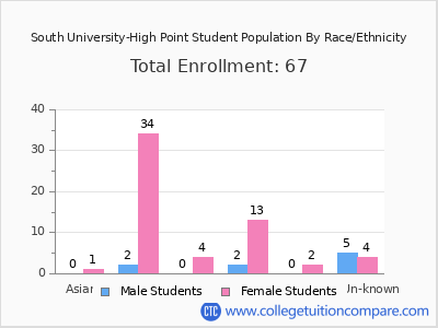 South University-High Point 2025 Student Population by Gender and Race chart