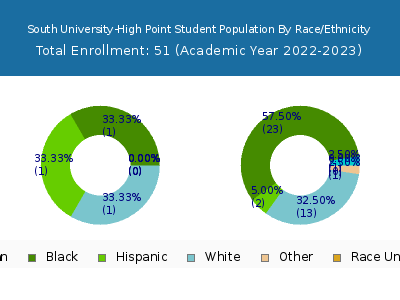 South University-High Point 2023 Student Population by Gender and Race chart