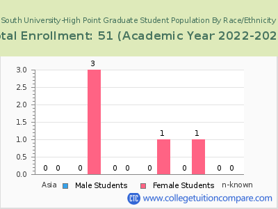 South University-High Point 2023 Graduate Enrollment by Gender and Race chart