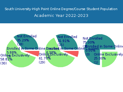 South University-High Point 2023 Online Student Population chart