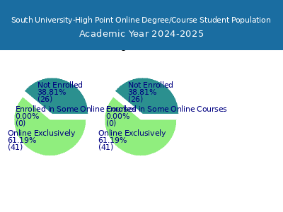 South University-High Point 2025 Online Student Population chart