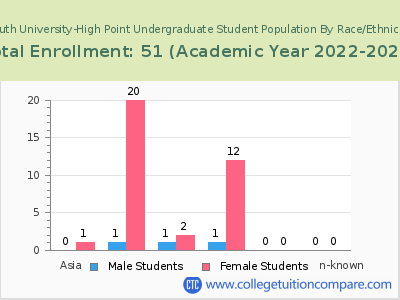 South University-High Point 2023 Undergraduate Enrollment by Gender and Race chart