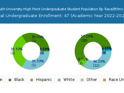 South University-High Point 2023 Undergraduate Enrollment by Gender and Race chart