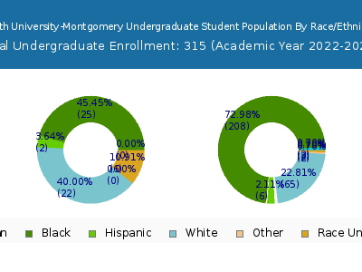 South University-Montgomery 2023 Undergraduate Enrollment by Gender and Race chart
