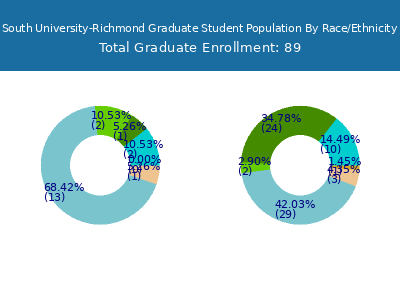 South University-Richmond 2025 Graduate Enrollment by Gender and Race chart
