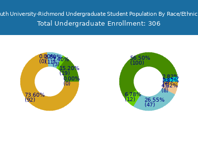 South University-Richmond 2025 Undergraduate Enrollment by Gender and Race chart