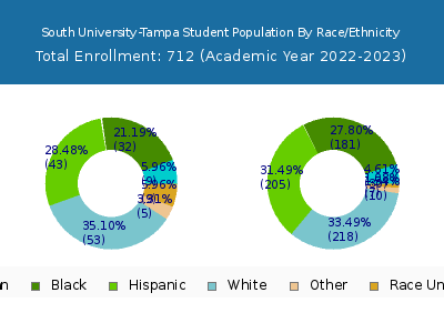 South University-Tampa 2023 Student Population by Gender and Race chart