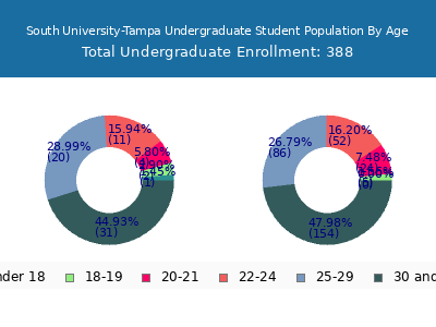 South University-Tampa 2024 Undergraduate Enrollment Age Diversity Pie chart