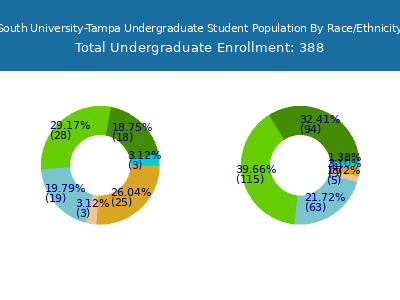 South University-Tampa 2025 Undergraduate Enrollment by Gender and Race chart