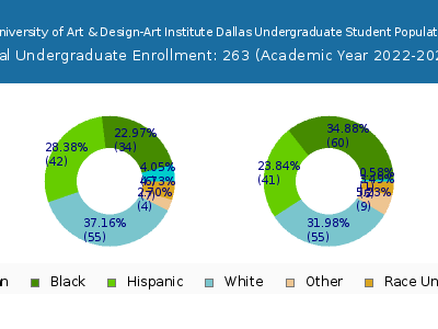 Miami International University of Art & Design-Art Institute Dallas 2023 Undergraduate Enrollment by Gender and Race chart
