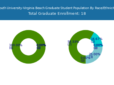 South University-Virginia Beach 2025 Graduate Enrollment by Gender and Race chart